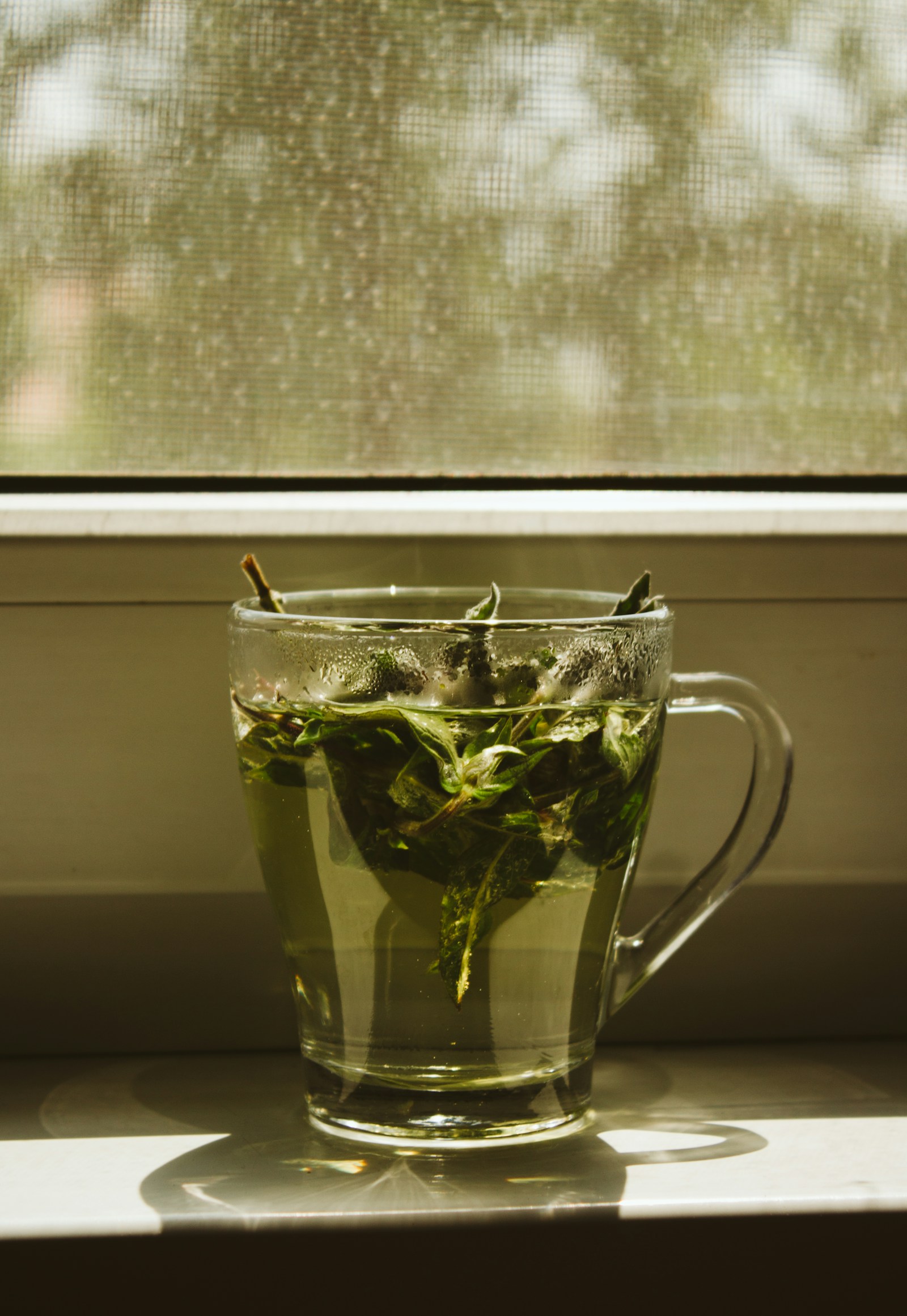 Taza de mate de coca con hojas verdes, remedio tradicional andino contra el soroche